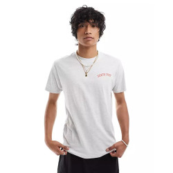 Santa Cruz foam screaming hand graphic t-shirt in grey marl